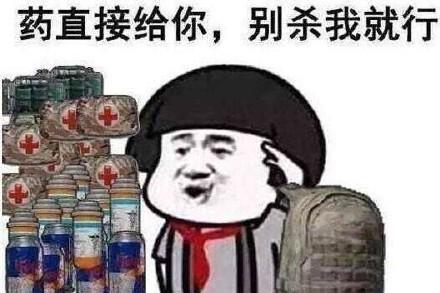 (落地成盒)完全带不动老子 玩你妈一拳垃圾 走了 以上就是表情包