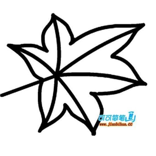 儿童植物简笔画图片,关于枫树叶的简笔画画法,秋天的枫叶简笔画画法
