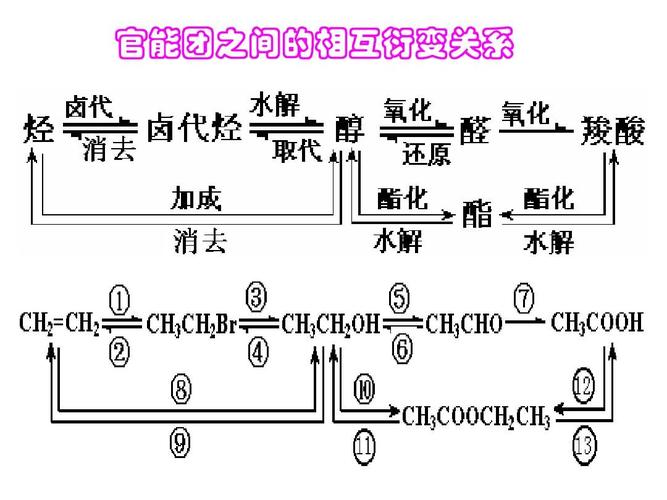 官能团之间的相互衍变关系