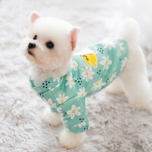 可爱奶狗犬小小型夏装春夏博美狗狗熊博美迪比宠物服装