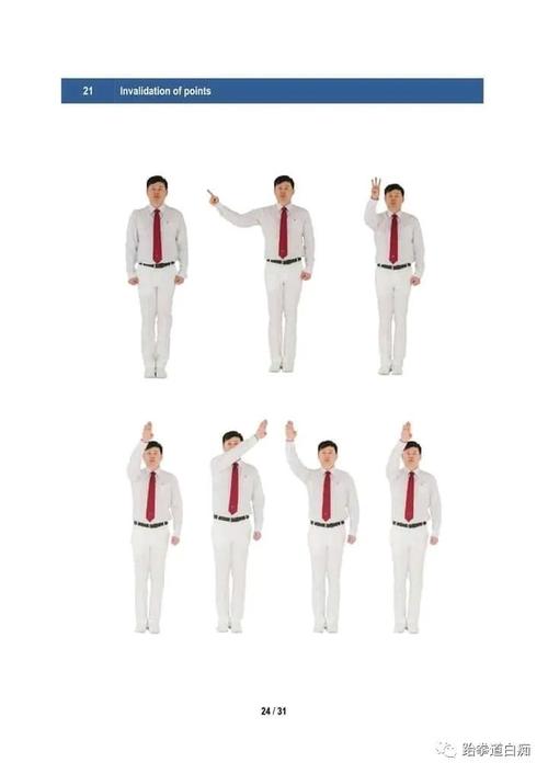 wt跆拳道竞技裁判手势图集,请收藏好这份干货!