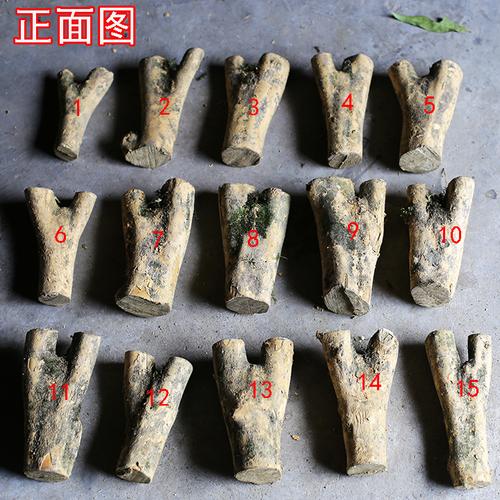 木制弹弓黄杨制作|木制弹弓黄杨技巧|木制弹弓黄杨