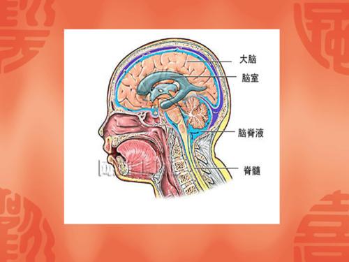 腰椎术后脑脊液漏的观察和护理.ppt