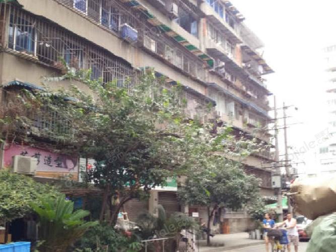 成华区猛追湾布坝子街9号小区实景图-4