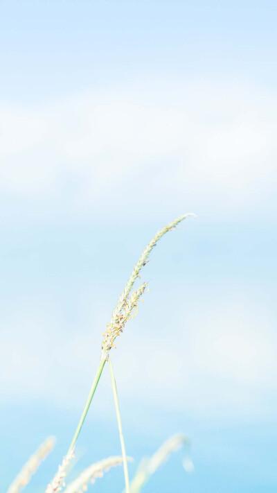 蓝色小清新风景高清手机壁纸图片