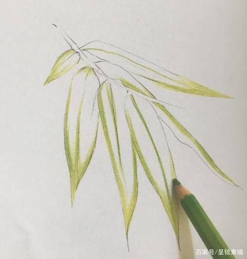 注意看竹叶两边的边缘线和中间的叶脉稍微浅一些,其余的地方颜色深
