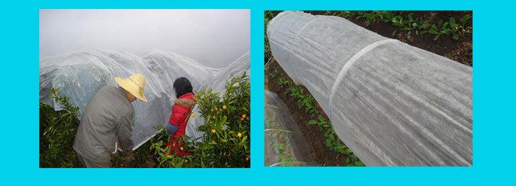 厂家直供 植物无纺布防虫防寒保护膜 植物保暖袋 项硕无纺布