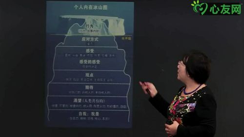 第六讲 冰山原理(个人内在冰山系统)