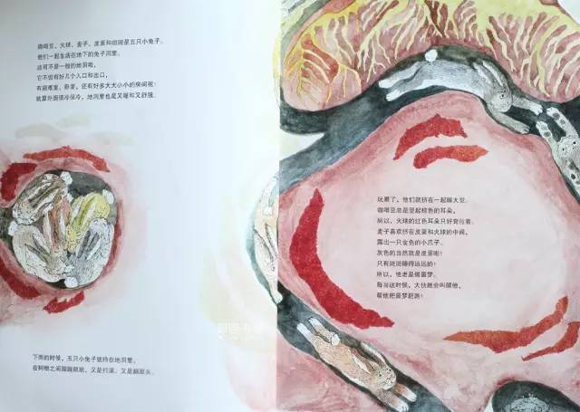 有声绘本 |295《五只兔子》(明明老师)
