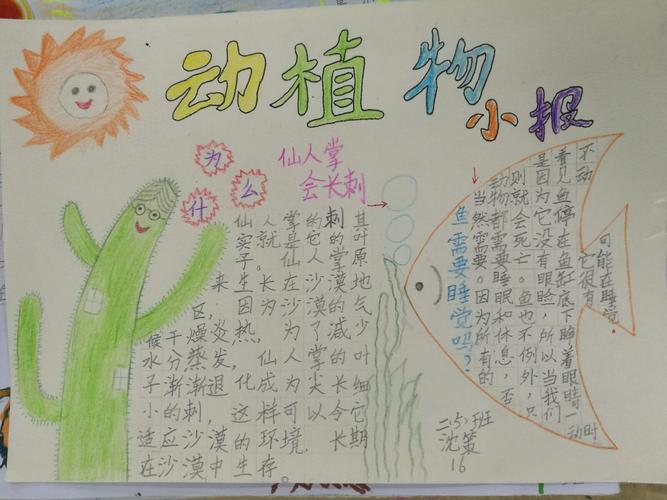逸夫小学二5班"有趣的动植物"手抄报