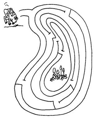 迷宫卡通简笔画 简笔画图片大全-蒲城教育文学网