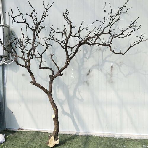 干树枝干枝装饰枯枝树假树枝枯枝树干树装饰树仿真树枝室内干枝树