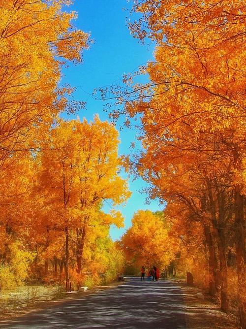 蝶恋花正韵大漠金秋