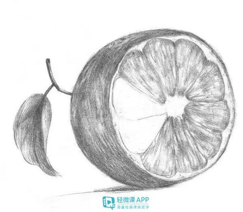 新手素描简单画