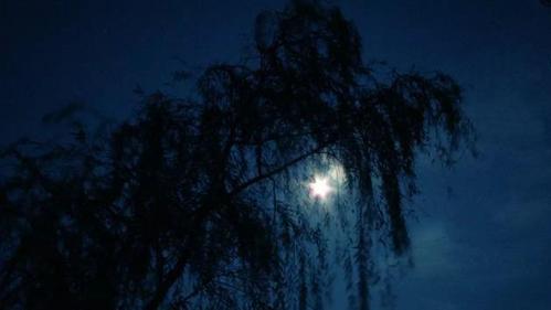 七言律诗《夜无眠》