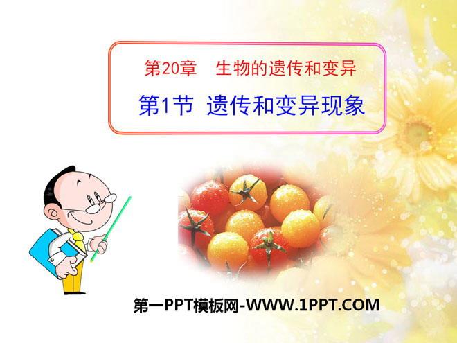 《遗传和变异现象》ppt