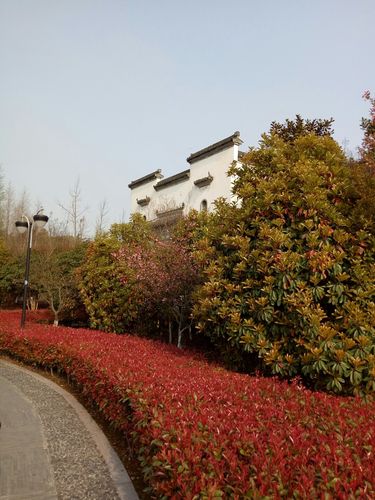江苏省常州市金坛区西城街道基督教堂景阳花园(南环西路)天气预报