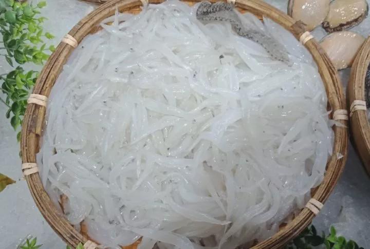 白叽银鱼,图片来自蓝色动物学网站