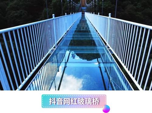 5d玻璃桥亲体验,勇闯百丈崖休闲2日游 这帮南京人让醉山野玻璃桥瞬间