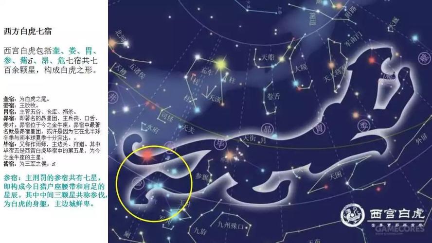 西方白虎七宿