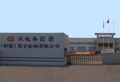 乌鲁木齐市,米东区以及双钱集团(新疆)昆仑轮胎有限公司领导共同为该