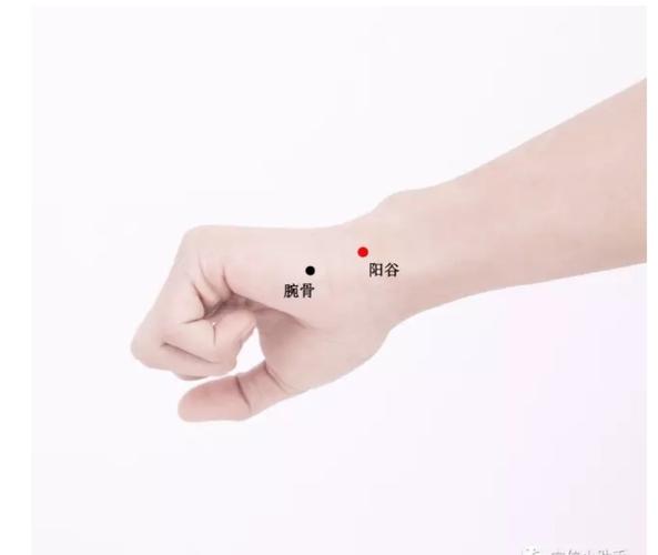 在手腕尺侧,当尺骨茎突与三角骨之间的凹陷处 .