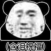 熊猫头表情包i脑瓜子嗡嗡的