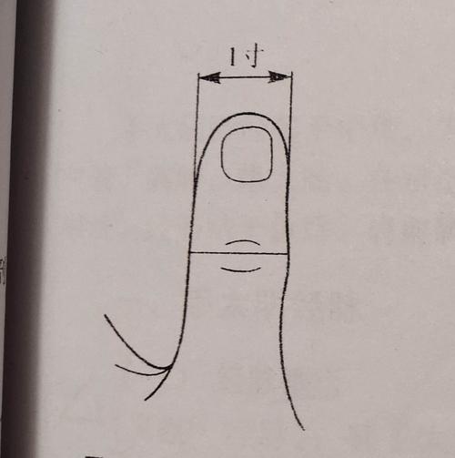 2,中指同身寸