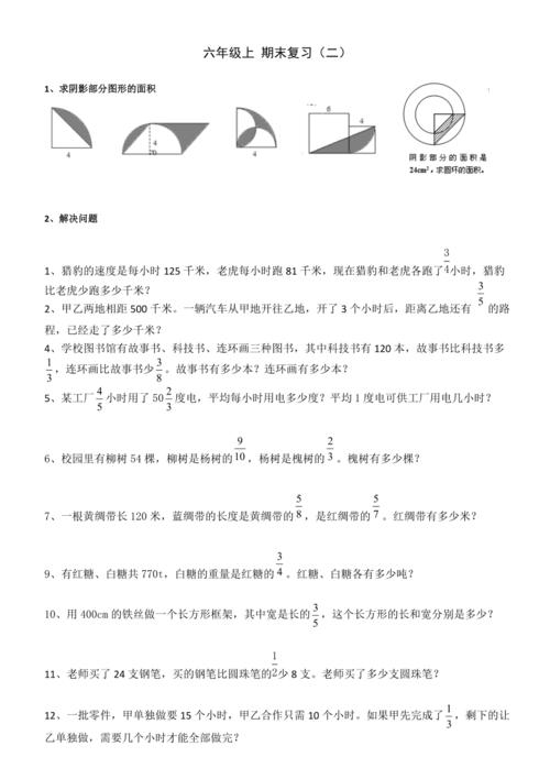 新人教版六年级数学上册期末解决问题专项复习