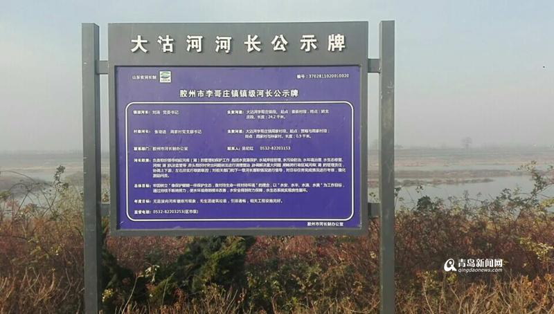 胶州全面实施河长制 大沽河旧貌换新颜(图)