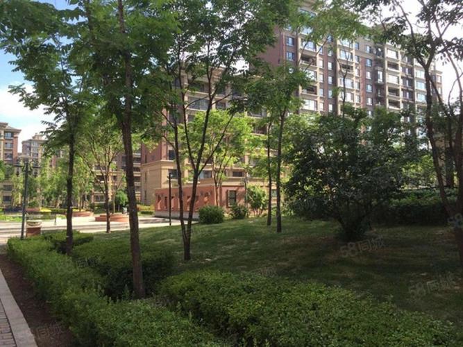 复地哥德堡森林