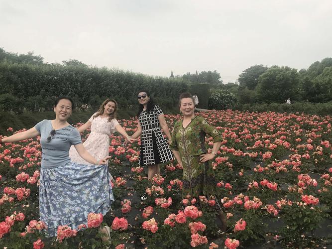 成都温江玫瑰园一日游