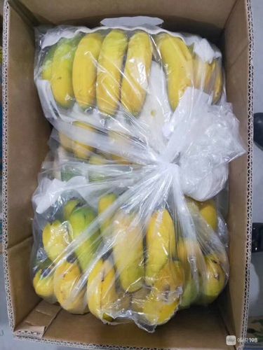 树上熟进口香蕉大量到货!团购价58块一箱!一箱20斤