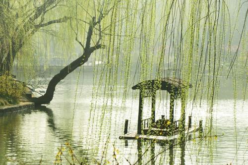 烟花三月～扬州醉～ 一首"烟雨唱扬州"送给大家