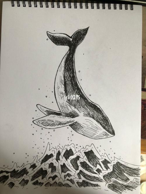 坠入海底的鲸鱼95 黑白手绘每日一画_手绘_装饰画