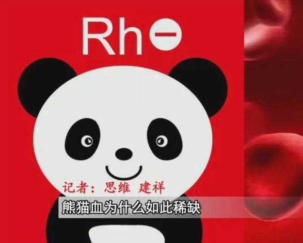 【内蒙】"熊猫血"男子出车祸,急需输血!爱心人士纷纷赶来献血.