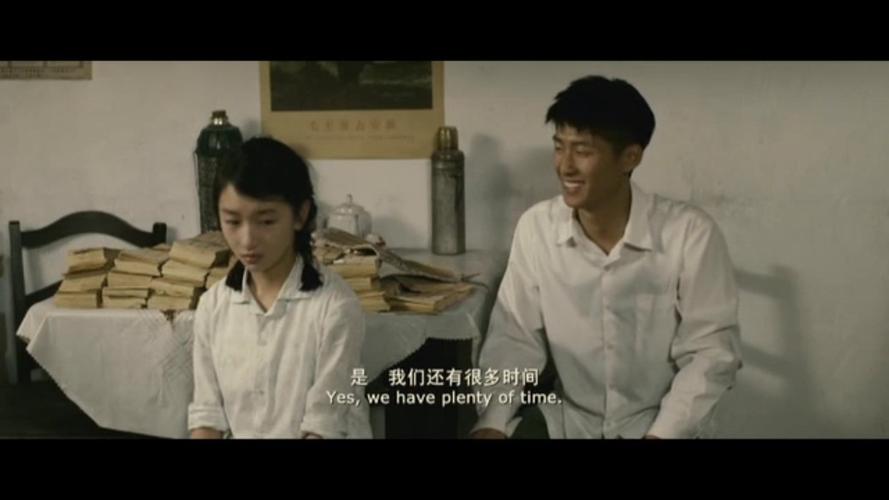 山楂树之恋