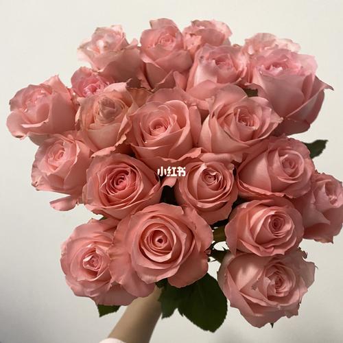 戴安娜玫瑰_网购鲜花_家居家装_家居装饰