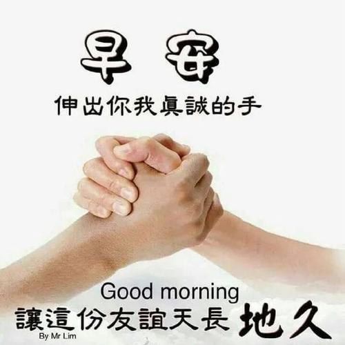 早上好!星期二最新早安祝福暖心语句,微信早晨最美的问候表情图片