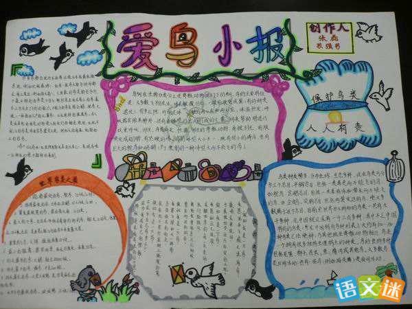 爱鸟周手抄报的参考设计图片