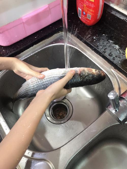 去鱼鳞,去鱼内脏……哈哈,第一次洗鱼,这感觉还挺奇妙!