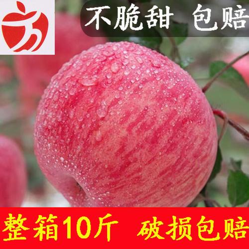 【现摘现发】苹果水果红富士冰糖心苹果脆甜孕妇水果万荣苹果批发