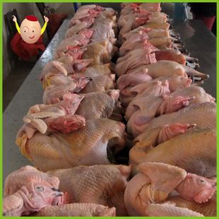 白条鸡专业销售 白条鸡价格优惠 优质冷冻白条鸡 散养白条鸡