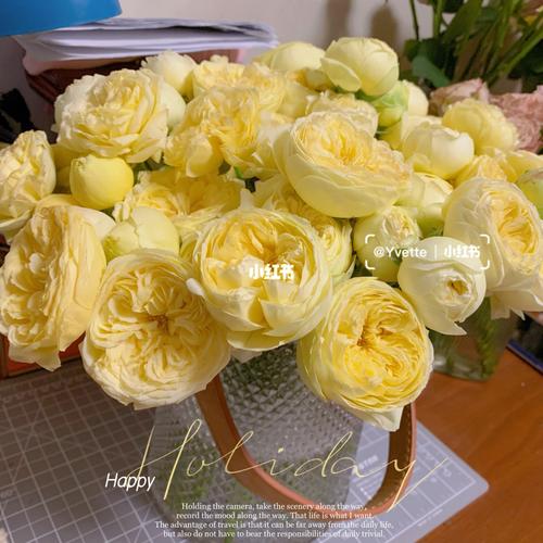 多头凯特琳娜玫瑰_鲜花_包子_家居家装_家居装饰