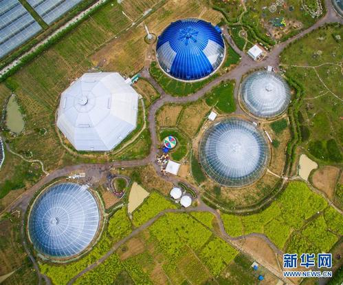 随着春季气温逐渐回升,浙江省天台县的"花漾星球太空农场"吸引