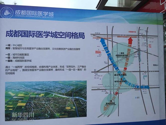 成都国际医学城空间格局图