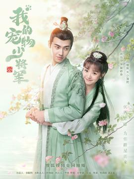 电视剧《我的宠物少将军》剧情介绍