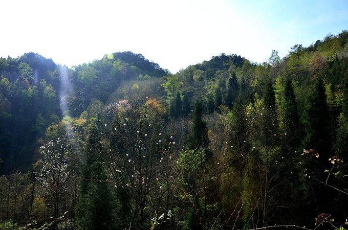 江油吴家后山徒步