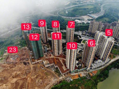 林邑星湖湾,郴州林邑星湖湾房价,林邑星湖湾,林邑物业