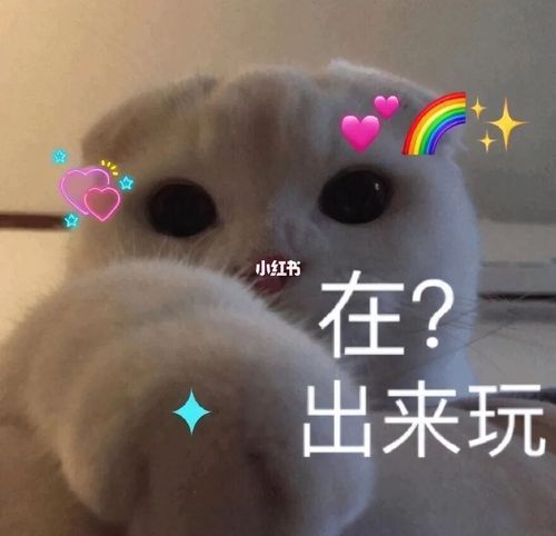 表情包:人生啊,都是疯狂的_表情包_沙雕表情包_素材